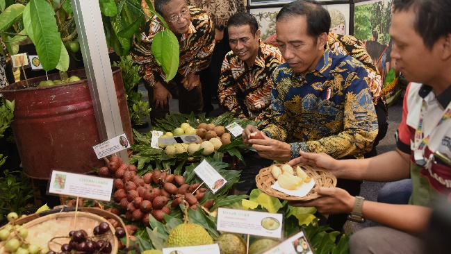 Kementan Siap Laksanakan Instruksi Presiden, Genjot Produksi Hortikultura